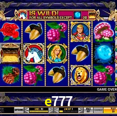 e777 Rio de Janeiro - Bonus Terms